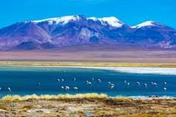 Atacama23